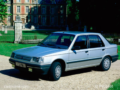 Peugeot 309 Occasion