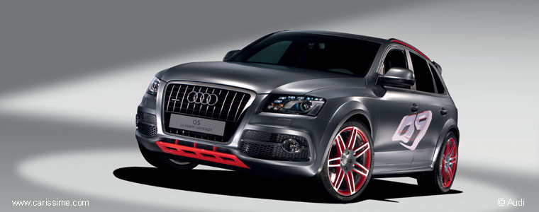 Audi Q5 Custom Concept