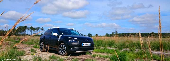 Citroën Cactus Rip Curl