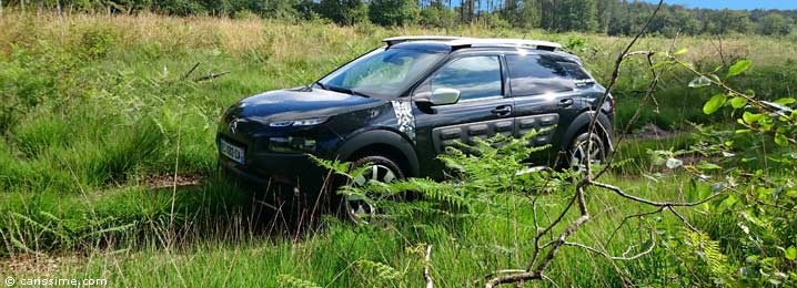 Essai Citroën Cactus Rip Curl