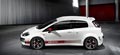 Fiat Punto Evo Abarth