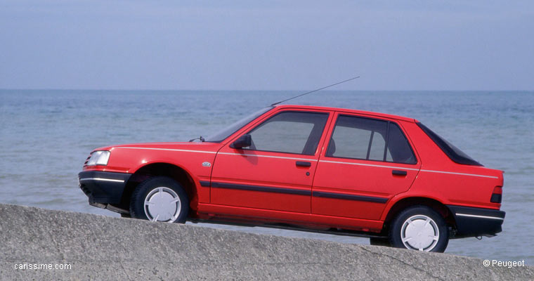 Peugeot 309 Occasion