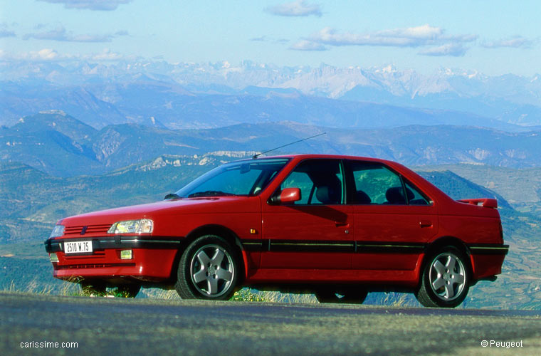 Peugeot 405 Occasion