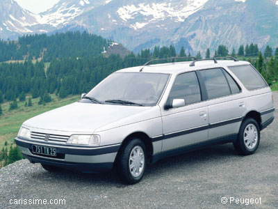 Peugeot 405 Occasion