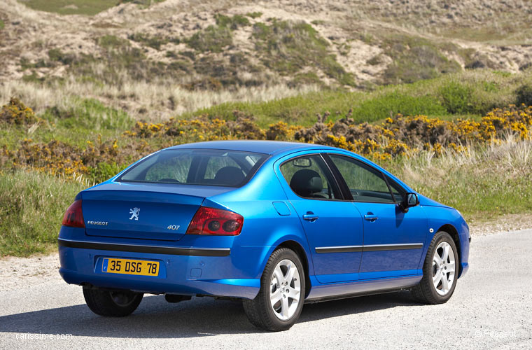 Peugeot 407 Occasion